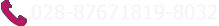 028-87671819-8032